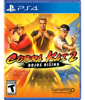 Cobra Kai 2: Dojos Rising