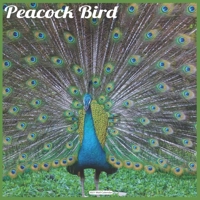 Peacock Bird 2021 Wall Calendar: Official Peacock Calendar 2021 Wall Calendar B08R1VKRVM Book Cover