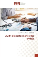 Audit de performance des entités 6138430077 Book Cover