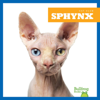 Sphynx 1645274578 Book Cover