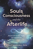 Souls Consciousness and the Afterlife: Discover the Mystery, Magic, and Magnificence 1667866745 Book Cover