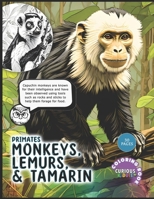 Primates: Monkeys, Lemurs and Tamarin, Kids k-12 Primates Coloring Book: Educational Coloring Book B0CTXKW3G5 Book Cover