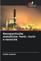 Nanoparticelle metalliche: fonti, rischi e tossicità (Italian Edition) 6209926533 Book Cover
