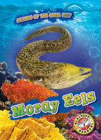 Moray Eels 1644871327 Book Cover