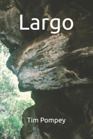 Largo B0FQCMRCT9 Book Cover
