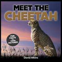Meet the Cheetah: Fun Facts & Cool Pictures 1495332233 Book Cover