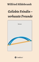 Geliebte Feindin - verhasste Freunde (German Edition) 374973481X Book Cover