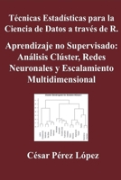 Técnicas Estadísticas para la Ciencia de Datos a través de R. Aprendizaje no Supervisado: Análisis Clúster, Redes Neuronales y Escalamiento Multidimensional (Spanish Edition) B0DVMFKK9R Book Cover