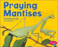 Praying Mantises (Pebble Plus: Bugs, Bugs, Bugs) 0736850988 Book Cover