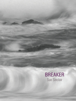 Breaker 1894078667 Book Cover