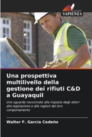 Una prospettiva multilivello della gestione dei rifiuti C&D a Guayaquil (Italian Edition) 6208130077 Book Cover