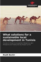 What solutions for a sustainable local development in Tunisia: A study in three municipalities: Medenine, Beni Khedache and Tataouine Southeast Tunisia 6204393707 Book Cover