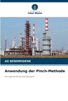 Anwendung der Pinch-Methode (German Edition) 6202803541 Book Cover