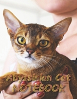 Abyssinian Cat NOTEBOOK: Notebooks and Journals 110 pages (8.5x11) 1651155321 Book Cover