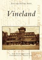 Vineland 1467121770 Book Cover