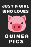 Just A Girl Who Loves: Cute Pig Gift For Girls Blank Lined Notebook (6x9), 120 Pages 1711207691 Book Cover