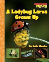 A Ladybug Larva Grows Up (Scholastic News Nonfiction Readers) 0531186970 Book Cover