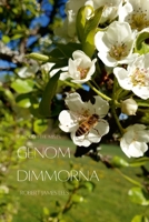 Genom dimmorna - Stor text 9198731556 Book Cover