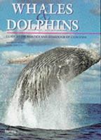 Whales and Dolphins 0760729042 Book Cover