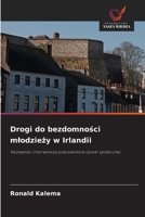 Drogi do bezdomności mlodzieży w Irlandii 6209662498 Book Cover
