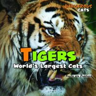 Tigers: World's Largest Cats (Dangerous Cats) 1404236325 Book Cover