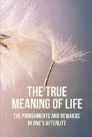 The True Meaning Of Life: The Punishments And Rewards In One's Afterlife: Zindagi Meaning B096WBBMWD Book Cover