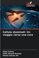 Cellule staminali: Un viaggio verso una cura (Italian Edition) 6208137195 Book Cover
