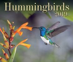 Hummingbirds 2019 0228100410 Book Cover