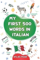 My first 500 words in Italian: A bilingual English-Italian visual dictionary - My first bilingual picture book on everyday themes to learn Italian for ... beginners - The most common illustrated words B0F9LDDZP8 Book Cover