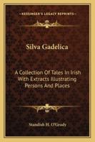 Silva gadelica (I-XXXI);: A collection of tales in Irish with extracts illustrating persons and places 1016445415 Book Cover