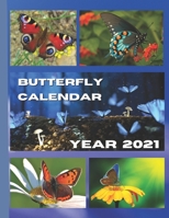 Butterfly calendar 2021: Every month a new magic picture of a delicate butterfly B08M84H19M Book Cover