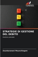 Strategie Di Gestione del Debito (Italian Edition) 6207790812 Book Cover