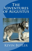 The Adventures of Augustus 1515363414 Book Cover