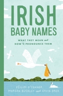 Irish Baby Names : What They Mean (and How to Actually Pronounce Them) 1804582492 Book Cover