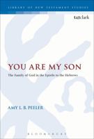You Are My Son: The Family of God in the Epistle to the Hebrews 0567665011 Book Cover