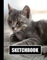 Sketchbook: Gray Cat Feline Cover Design | White Paper | 120 Blank Unlined Pages | 8.5" X 11" | Matte Finished Soft Cover 1713242133 Book Cover