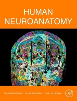 Human Neuroanatomy 0323997252 Book Cover