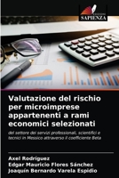 Valutazione del rischio per microimprese appartenenti a rami economici selezionati: del settore dei servizi professionali, scientifici e tecnici in ... il coefficiente Beta 6203543209 Book Cover