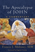 Apocalypse of John: A Commentary 1540970167 Book Cover