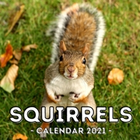 Squirrels Calendar 2021: 16-Month Calendar, Cute Gift Idea For Squirrels Lovers Women & Men B093WBR922 Book Cover