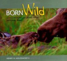 Born Wild in Yellowstone and Grand Teton National Parks 1560372451 Book Cover