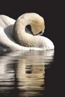 Swan Notebook 1718879385 Book Cover