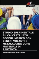 Studio Sperimentale Su Calcestruzzo Geopolimerico Con Ceneri Volanti E Metakaolina Come Materiali Di Partenza 6203127140 Book Cover