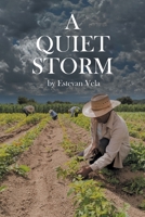 A Quiet Storm B0FHY3J8FL Book Cover