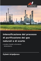 Intensificazione del processo di purificazione dei gas naturali e di scarto (Italian Edition) 6207011244 Book Cover