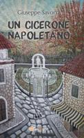 Un Cicerone napoletano 8893069318 Book Cover