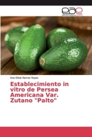 Establecimiento in vitro de Persea Americana Var. Zutano Palto 6202159944 Book Cover