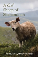 A Lost Sheep of Shenandoah: Charles Edwin Rinker of Virginia and Harry Bernard King of Iowa: DNA Reveals They Were the Same Man 1665555750 Book Cover