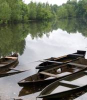 Polyglot: Stories of the West's Wet Edge 0615268048 Book Cover