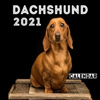 Dachshund 2021 Calendar: Cute Dachshund , Cute Dachshund Photos Monthly Calendar 12 Month Wall & Office Calendar , dog a day calendar 2021, dog calendar 2021 wall ... B08WJY554B Book Cover